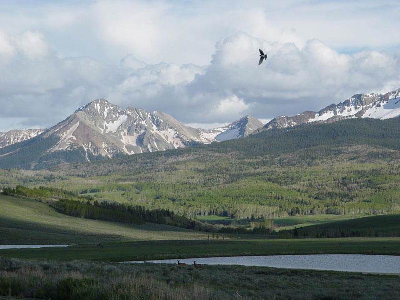 Colorado